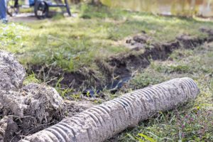 4 Common Septic Problems Homeowners Face