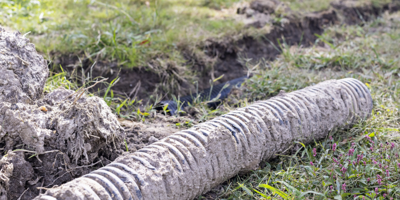 4 Common Septic Problems Homeowners Face