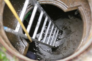 Have You Heard About the 25% Rule for Grease Traps?
