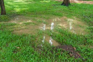 3 Tips to Prevent Drainage Problems