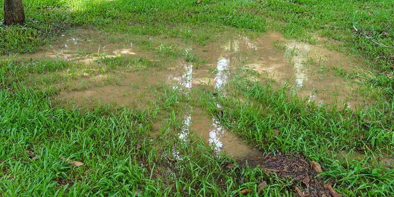3 Tips to Prevent Drainage Problems